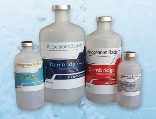 Cambridge Technologies Vaccines