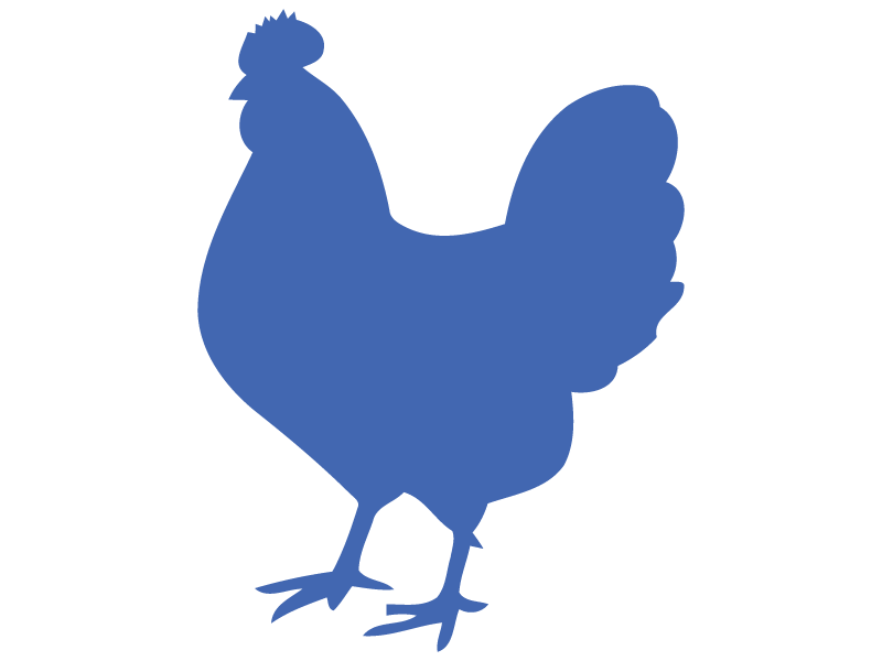 POULTRY