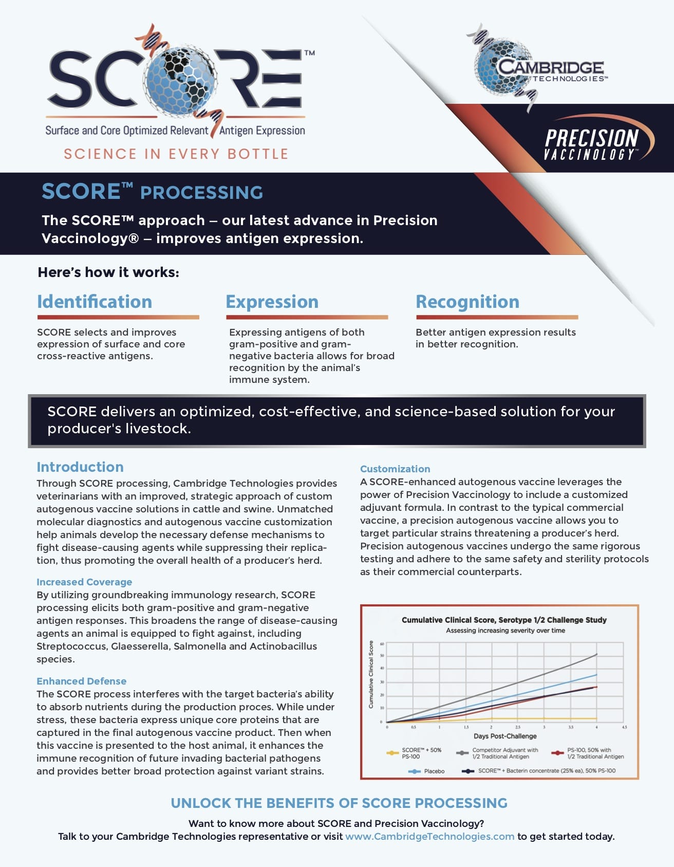 Score Sales Sheet