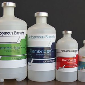 cambridge vaccine bottles